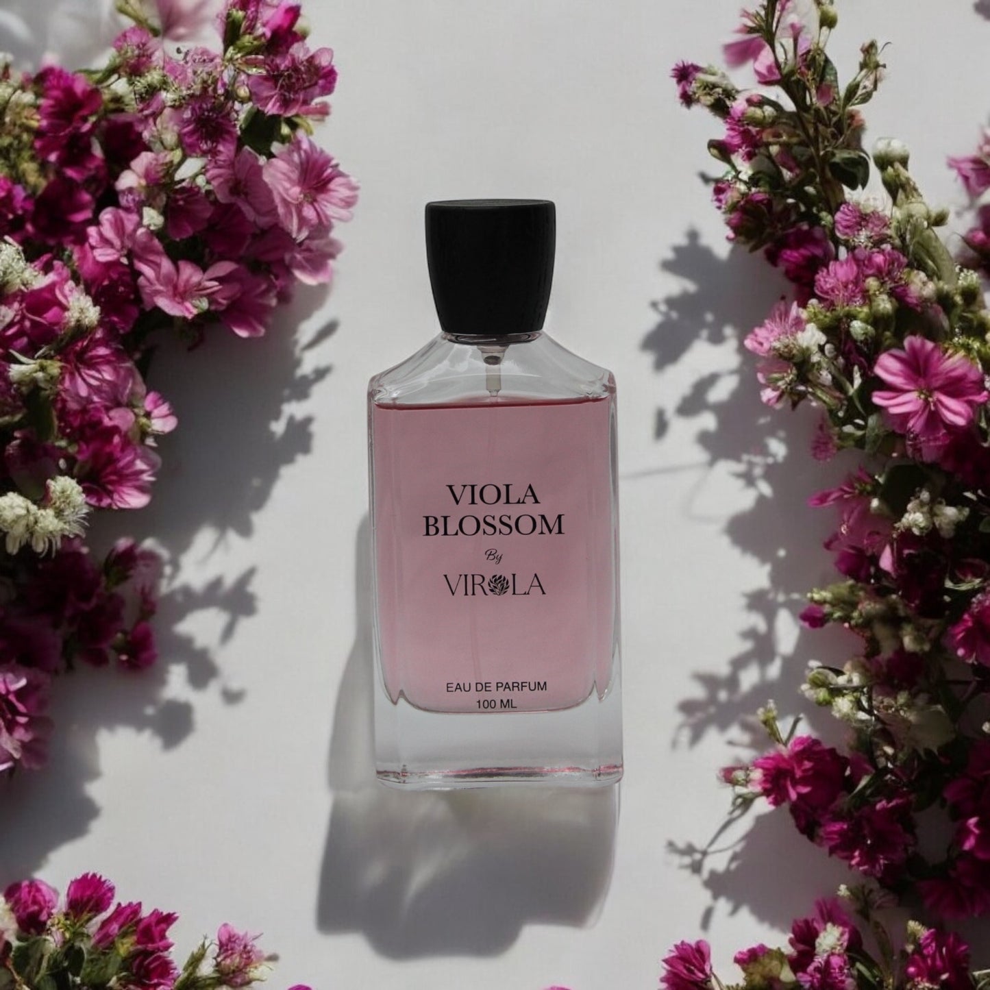 Viola Blossom